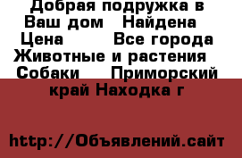 Добрая подружка,в Ваш дом!!!Найдена › Цена ­ 10 - Все города Животные и растения » Собаки   . Приморский край,Находка г.
